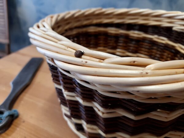 Formation vannerie d'osier avec un vannier en Bourgogne à Mercurey