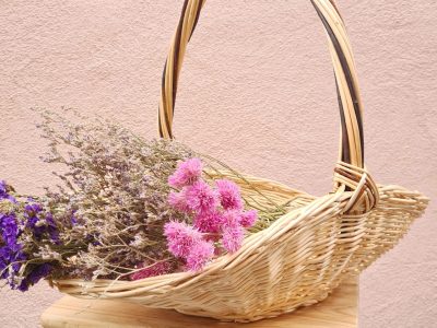 Panier plat ovale formation vannerie d'osier proche d'Aix-en-Provence