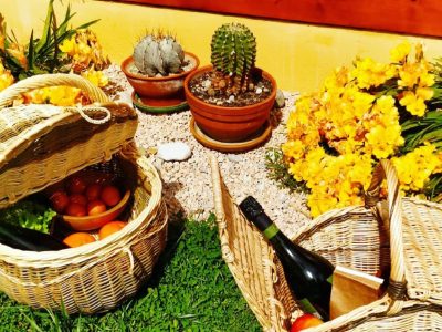 Paniers fermés en osier formation à la vannerie d'osier dans les Landes