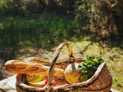 Panier de marché en osier formation à la vannerie d'osier dans les Landes