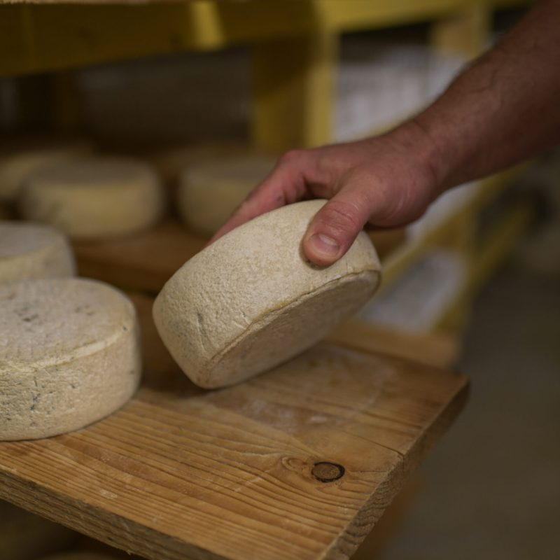 Formage Marion & Arnaud, fromagers éleveurs