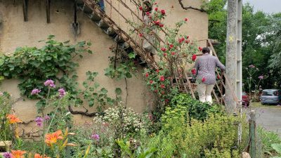 Jardin fleuri pendant le stage en apiculture chez un apiculteur entre Toulouse, Castres et Albi