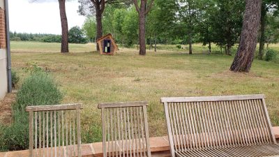 Jardin pendant le stage en apiculture chez un apiculteur