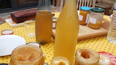 Miel et hydromel pendant une pause gastronomique durant la stage d'apiculture chez un apiculteur