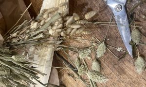 Découpe de fleurs formation fleurs séchées à Paris