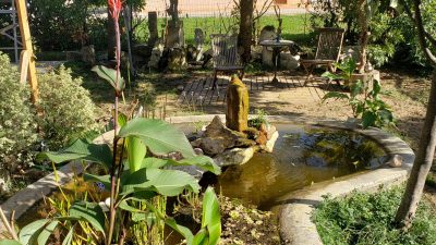 Jardin de l'atelier de sculpteur sur bois pendant le stage d'initiation et les cours de sculpture
