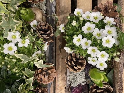 Fleurs printanières pendant la formation fleuriste à Paris avec Yann
