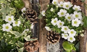 Fleurs printanières pendant la formation fleuriste à Paris avec Yann