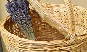 Panier rond formation à la vannerie d'osier proche d'Aix-en-Provence