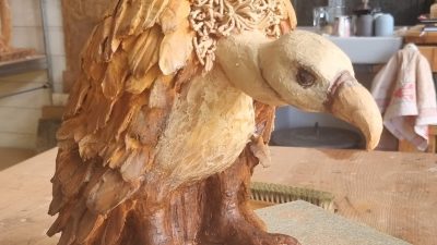 Patine sur une sculpture de vautour pendant le stage entre Castres et Albi