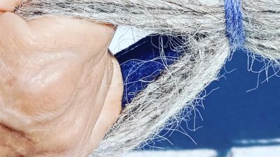 Fils de laine à tisser pour le stage de tissage