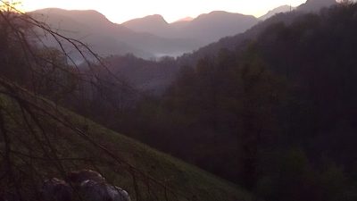 Transhumance des brebis pendant le stage de berger éleveur au Pays Basque