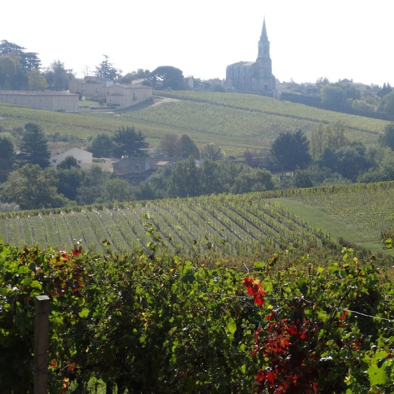 DSC09523-1600x1200-1