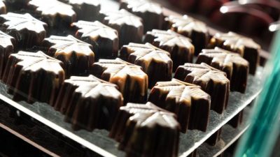 Chocolats en forme de feuilles faits lors du stage chez un chocolatier dans un atelier de chocolaterie dans les Pyrénées Atlantiques (64)