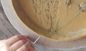 Main d'une céramiste sur un plateau en argile, réalisé lors d'une formation en céramique en Charente