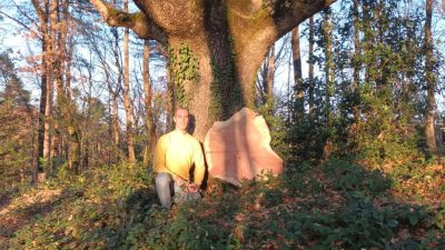 Grand chêne avec lequel on peut faire une maison en bois pendant le stage