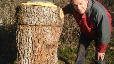 Apiculteur à côté d'une ruche pendant la stage en apiculture entre Toulouse, Castres et Albi