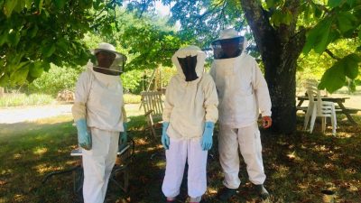 Stagiaires pendant le stage en apiculture chez l'apiculteur entre Toulouse, Castres et Albi
