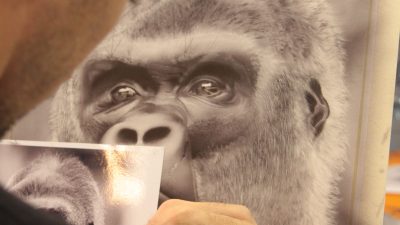 Cours et stage de peinture à l'aérographe