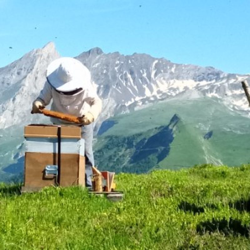 Jean-François CASASSUS, apiculteur dans les Pyrénées