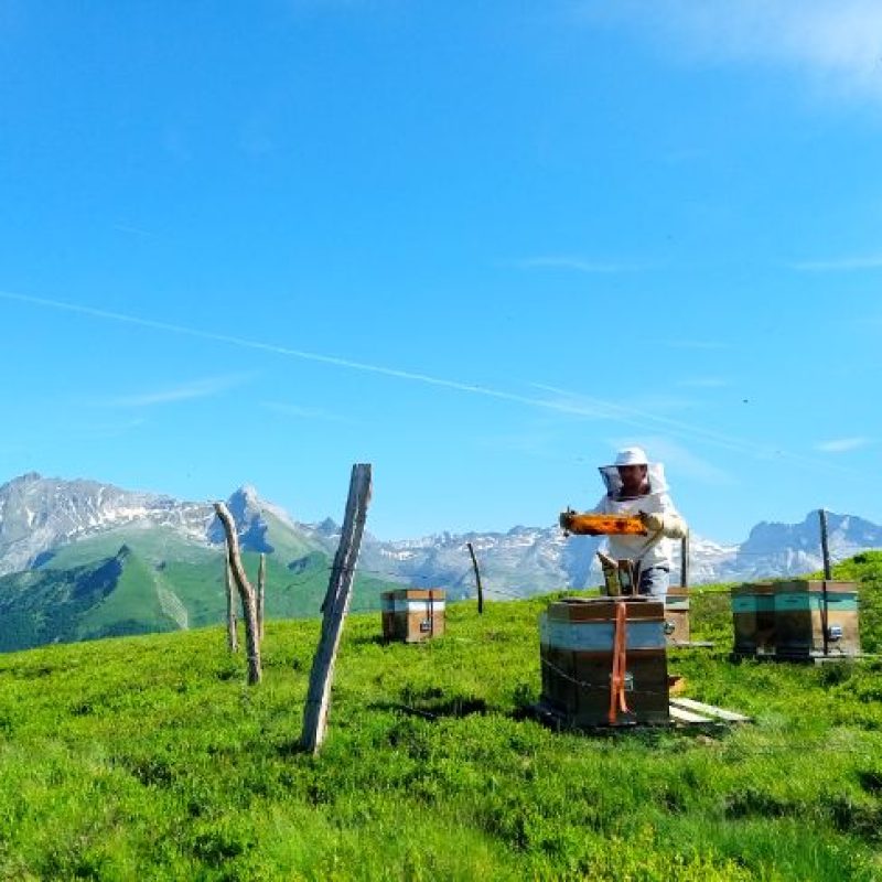 Jean-François CASASSUS, apiculteur dans sa montagne