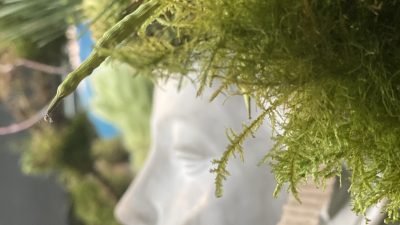 Décoration dans la boutique de Marion qui propose un stage fleuriste à Toulouse