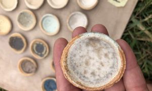 Coupelle émail brut Formation à l'émaillage sur céramique à Marseille