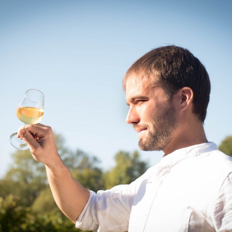 Jérémy ESTOUEIGT vigneron