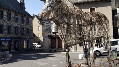 Taureau de Laguiole pendant le stage pour faire son Whisky dans l’Aubrac