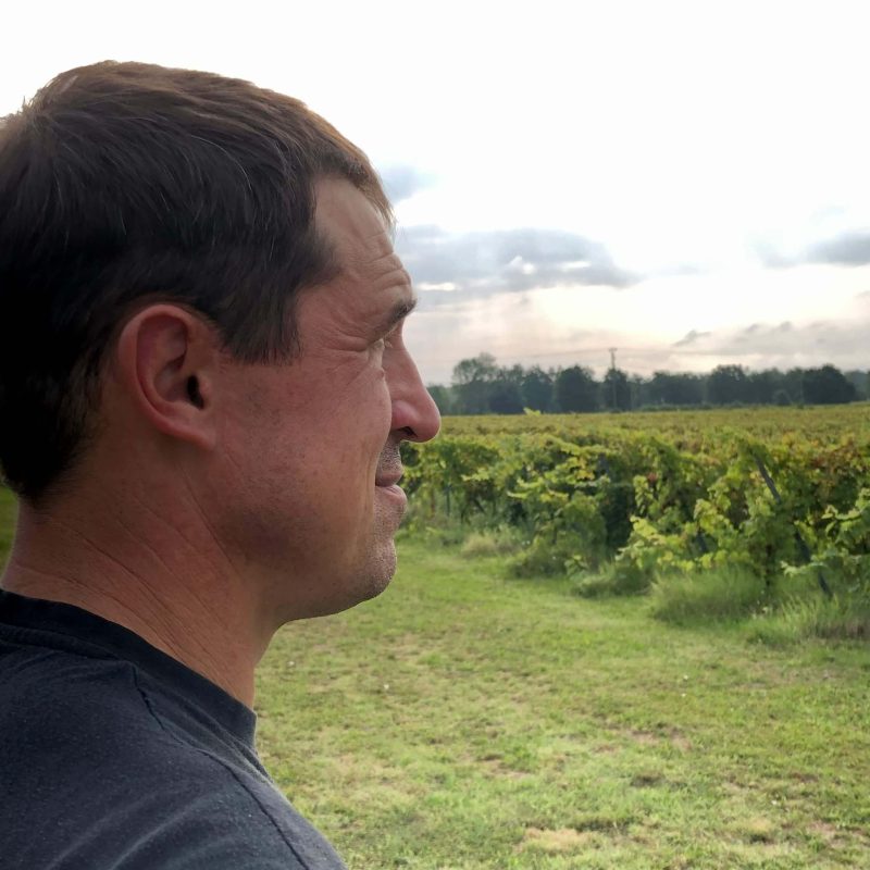 Vigneron Laurent Visseq à Gaillac