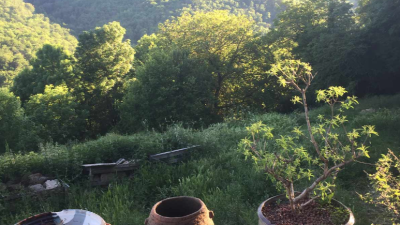 Cadre et paysage pendant le stage de poterie et céramique africaine