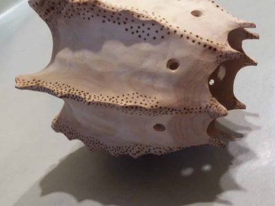 Oursin de Chartreuse formation Tourneur sur bois entre Grenoble et Chambéry