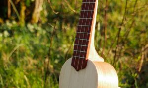 Guitare nature bois Formation Luthier située entre Besançon et Dijon