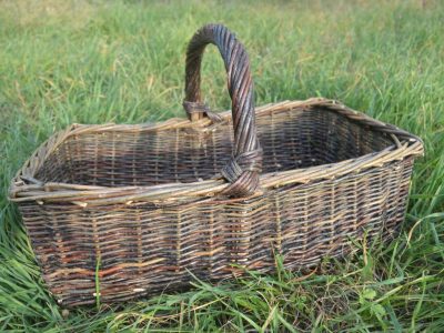 Panier Asturie formation à la vannerie d'osier en région PACA