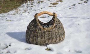Panier décolleté formation à la vannerie d'osier en région PACA
