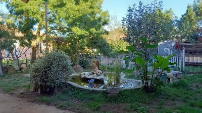 Jardin de l'atelier de sculpteur sur bois pendant le stage d'initiation et les cours de sculpture