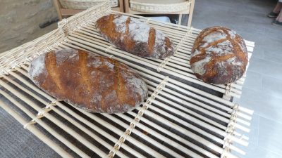 Pains qui sortent du four pendant le stage avec un boulanger