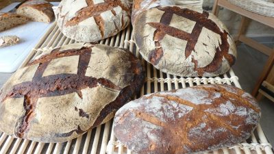 Stage de boulangerie avec Benoit Tranchant