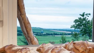 Stage dans un atelier de boulanger de la production à la transformation