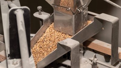 Transformation des grains produits par Patrick en farine pendant l'atelier boulanger