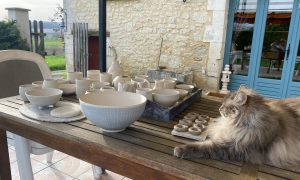 "Assistant potier" pendant la formation avec une céramiste professionnel vers Périgueux