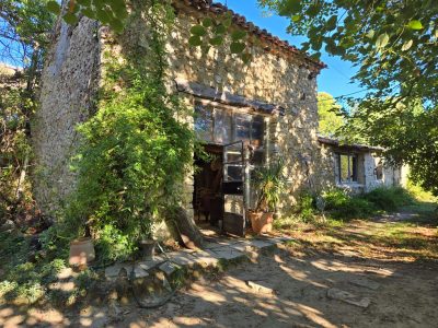 Atelier de vannier au cours de la formation en PACA à Beaumont de Pertuis