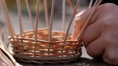 Tressage manuel de la vannerie d'osier pendant l'atelier vannier