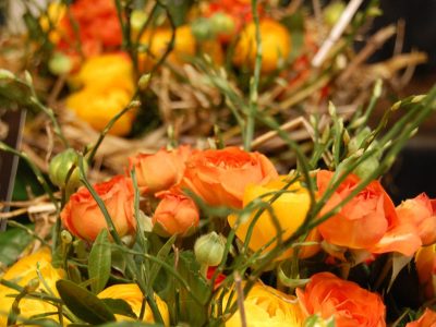 Fleurs jaune pendant la formation fleuriste à Paris