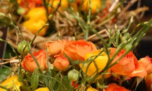 Fleurs jaune pendant la formation fleuriste à Paris