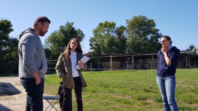 Debriefing pendant le stage d'équicoaching