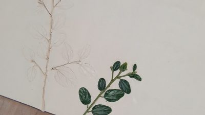 Décoration avec de vrais végétaux pendant l'atelier céramique sur lampe en Occitanie