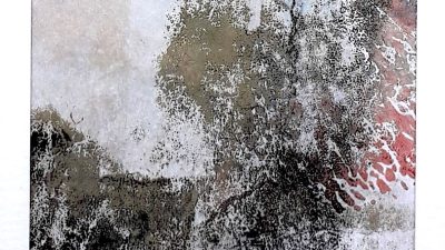 Arbre stage d'initiation à la technique du Monotype