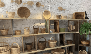 Atelier de la Formation vannerie Hérault