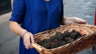 Boules de cocagne pendant le stage chez un teinturier vers Castres